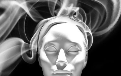 SER ARTISTA Y NO MORIR EN EL INTENTO