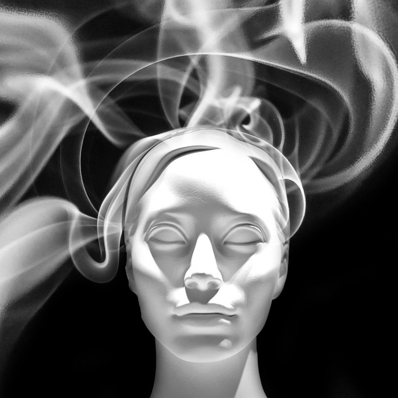 SER ARTISTA Y NO MORIR EN EL INTENTO